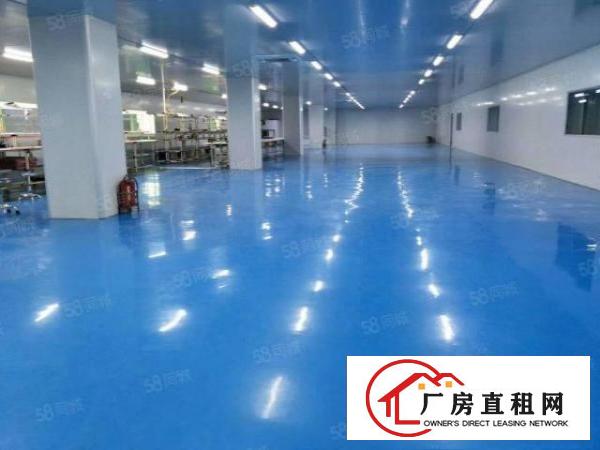 塘厦石鼓独院标准2楼3600平方！千级无尘车间！现场实拍图片