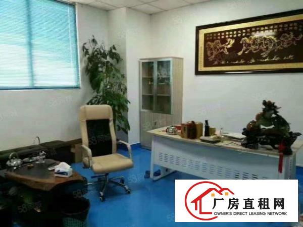  塘厦石鼓独院标准2楼3600平方！千级无尘车间！现场实拍图片