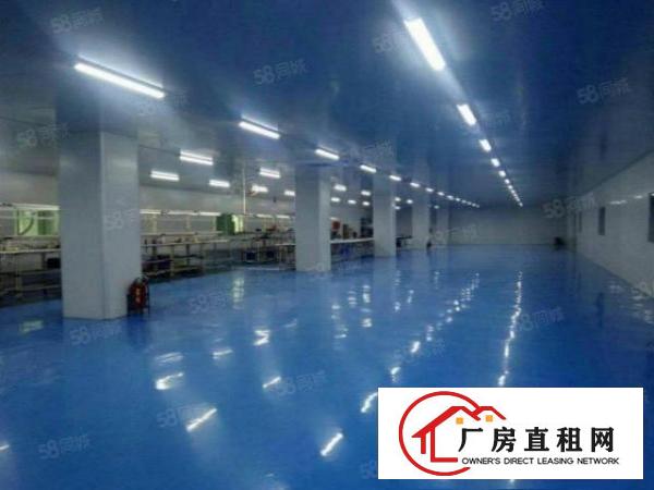  塘厦石鼓独院标准2楼3600平方！千级无尘车间！现场实拍图片