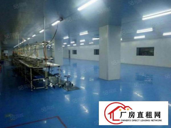  塘厦石鼓独院标准2楼3600平方！千级无尘车间！现场实拍图片