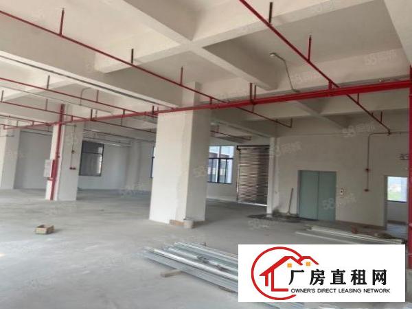  带红本！蛟乙塘1480平可分租带消防喷淋水电电梯可做机械注塑