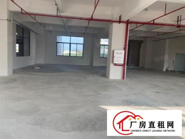  带红本！蛟乙塘1480平可分租带消防喷淋水电电梯可做机械注塑
