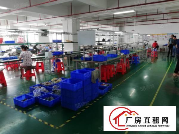  塘厦龙背岭新出二楼620平，现成装修水电，公摊小原房东