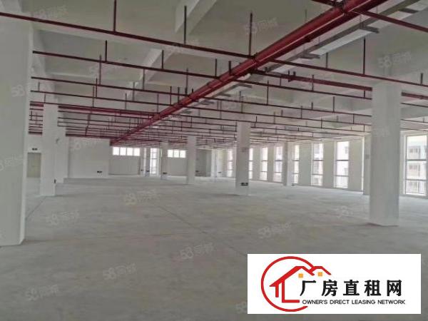  莆心湖花园式厂房2000平厂房出租丙二类消防楼上承重1.2吨