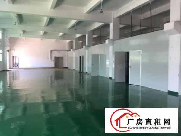  塘厦大坪工业区550平方原房东出租300起分租，工业用地