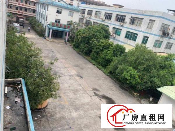  塘厦新出一手房东厂房出租空地超大形象佳周边人气旺
