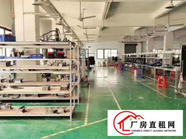  塘厦新出一手房东厂房出租空地超大形象佳周边人气旺