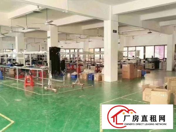  塘厦新出一手房东厂房出租空地超大形象佳周边人气旺