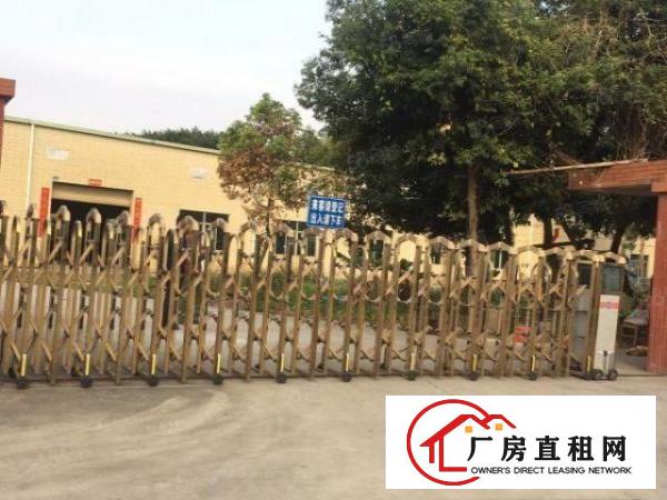  塘厦大坪工业园单一层1100平方！带行车免费用！滴水8米