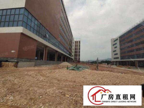  塘厦.凤岗.清溪.交介处新出135000平全新标准厂房出租