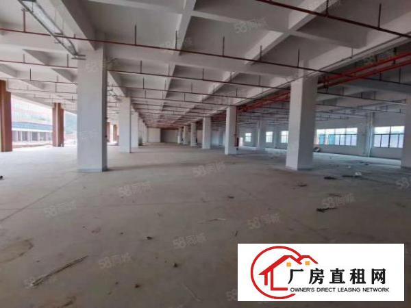  塘厦.凤岗.清溪.交介处新出135000平全新标准厂房出租