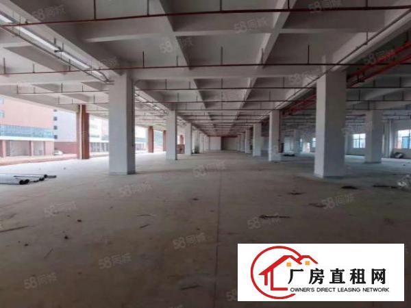  塘厦.凤岗.清溪.交介处新出135000平全新标准厂房出租