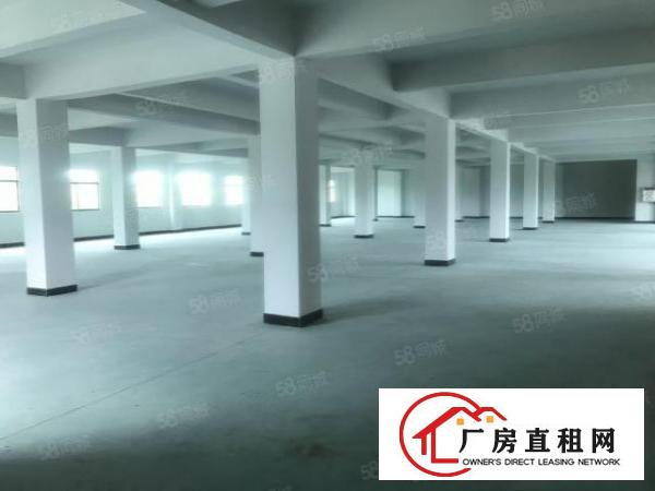  塘厦蛟乙塘一楼1180平全新标厂可做五金加工包装模具机械钣金