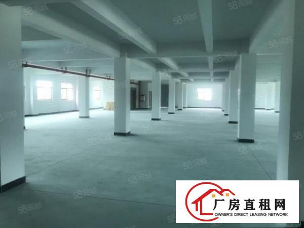  塘厦蛟乙塘一楼1180平全新标厂可做五金加工包装模具机械钣金