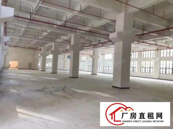  东莞塘厦凤岗清溪三镇交界处，12万平方厂房出租，可分带卸货台