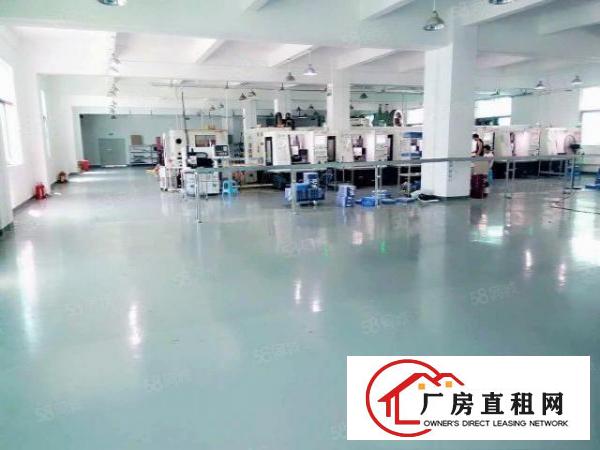  原房东独院，2楼900平，带豪华办公室，离高速路口近