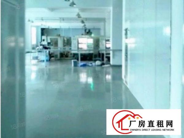  原房东独院，2楼900平，带豪华办公室，离高速路口近