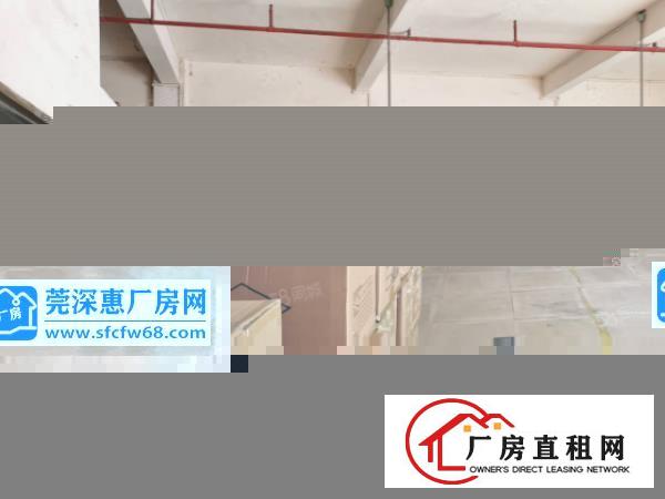  塘厦林村新出6000平独院标准厂房，现成装修配置，原房东直租