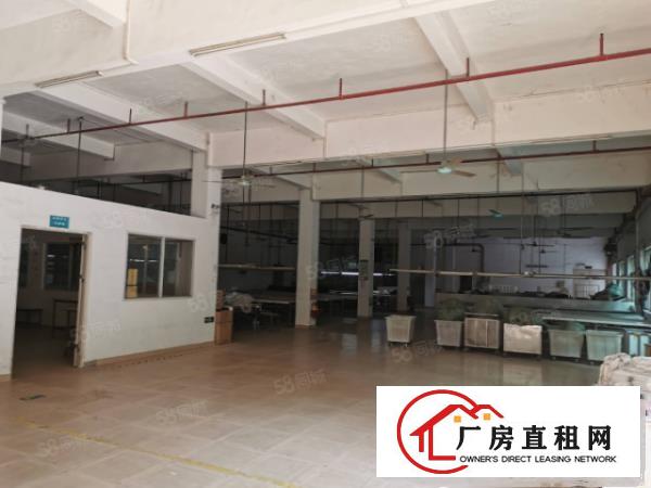  塘厦林村新出6000平独院标准厂房，现成装修配置，原房东直租