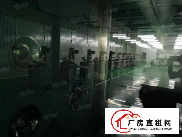  塘厦莲湖第二工业区独院4800平方新空出
