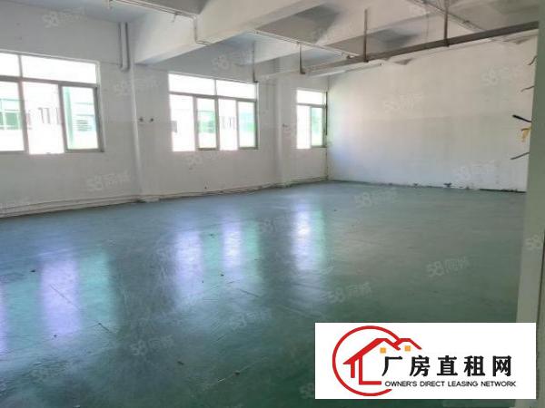  塘厦凤凰岗原房东出租3楼1500平方！无公摊！现成装修