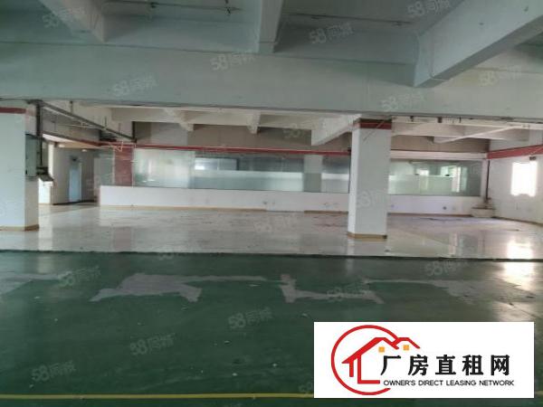  塘厦凤凰岗原房东出租3楼1500平方！无公摊！现成装修