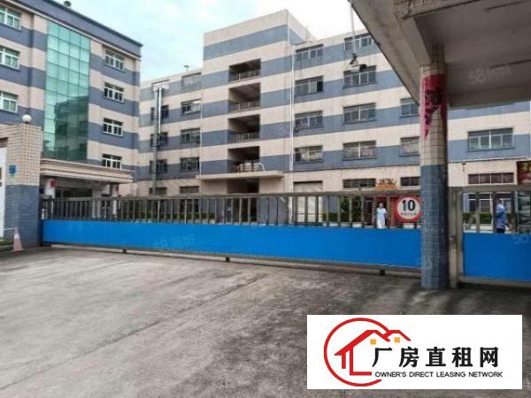  塘厦凤凰岗原房东出租3楼1500平方！无公摊！现成装修