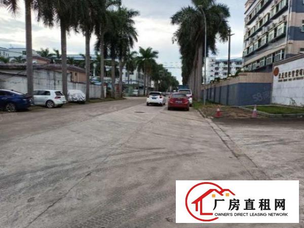  塘厦凤凰岗原房东出租3楼1500平方！无公摊！现成装修