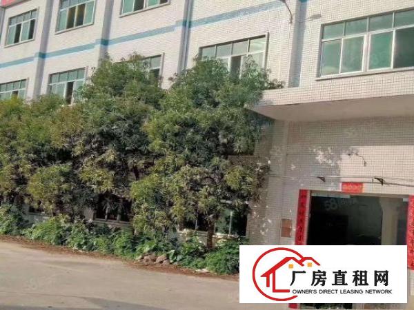  塘厦镇高速路附近超靓标准厂房6250平米出租