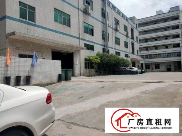 塘厦迎宾高速出口原房东标准厂房一楼1380平，高六米带牛角