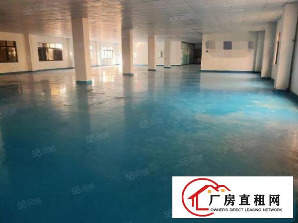  塘厦迎宾高速出口原房东标准厂房一楼1380平，高六米带牛角