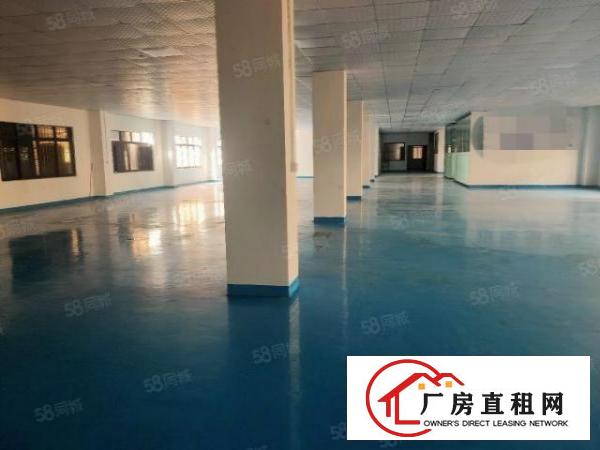  塘厦迎宾高速出口原房东标准厂房一楼1380平，高六米带牛角