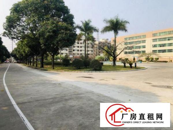  凤岗雁田工业园2万平厂房出租精装修一楼仓房500平起分租
