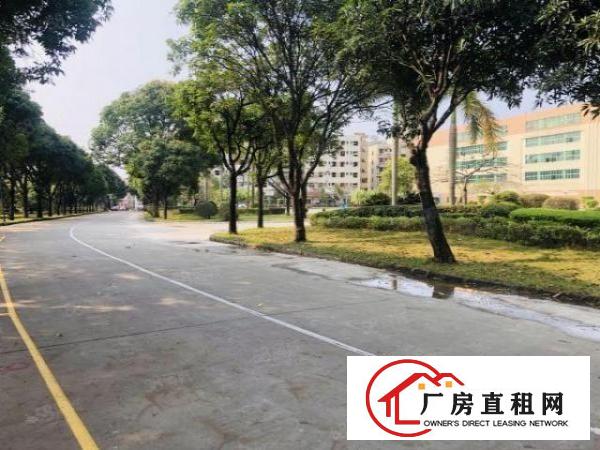  凤岗雁田工业园2万平厂房出租精装修一楼仓房500平起分租