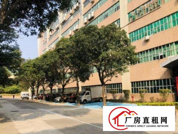  凤岗雁田工业园2万平厂房出租精装修一楼仓房500平起分租