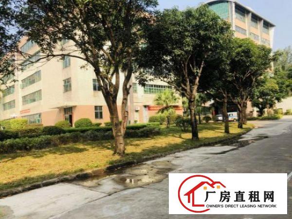  凤岗雁田工业园2万平厂房出租精装修一楼仓房500平起分租
