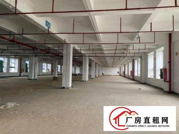  凤岗雁田工业园2万平厂房出租精装修一楼仓房500平起分租
