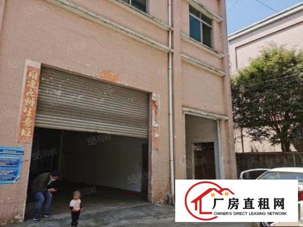  塘厦原房东标准厂房，离高速路口近，带装修，现成办公室，空地大