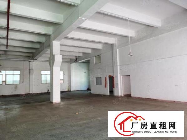  塘厦原房东标准厂房，离高速路口近，带装修，现成办公室，空地大