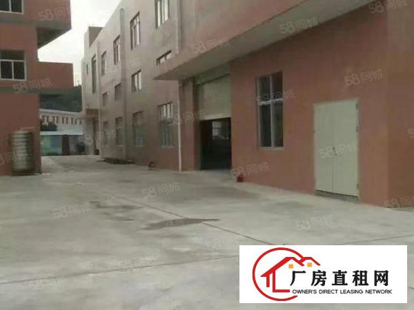  新出独院厂房4100平米出租紧邻观兰