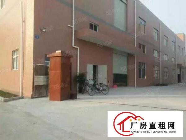  新出独院厂房4100平米出租紧邻观兰