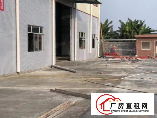  塘厦沙湖钢构独院3600平，原房东，空地大，现成配置