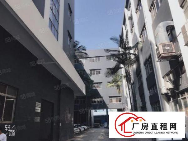  塘厦138工业区1800平厂房仓库冷库车间出租！形象好空地大
