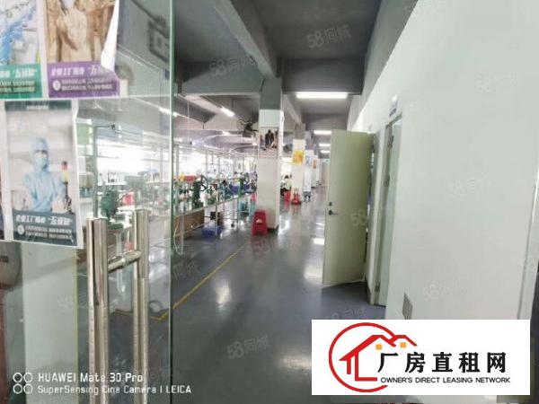  塘厦科苑城工业园楼上870平带装修厂房出租，有办公室，无转让