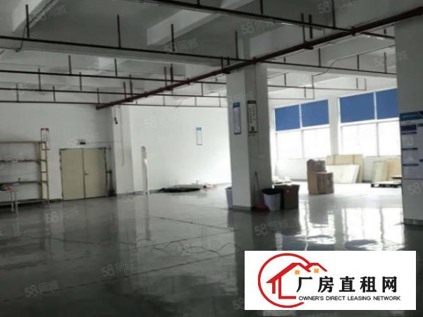  塘厦科苑城独院标准厂房5030平出租，台湾房东，配置齐全
