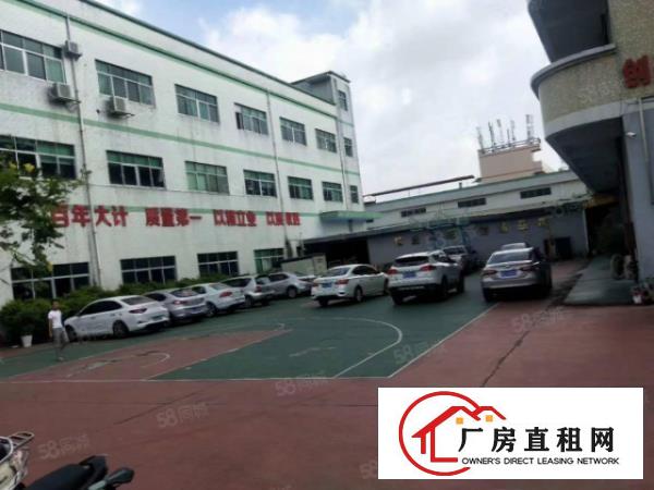 塘厦科苑城独院标准厂房5030平出租，台湾房东，配置齐全