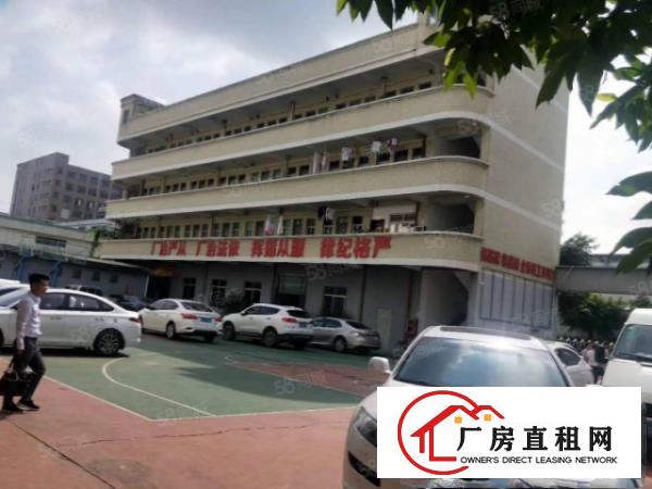  塘厦科苑城独院标准厂房5030平出租，台湾房东，配置齐全