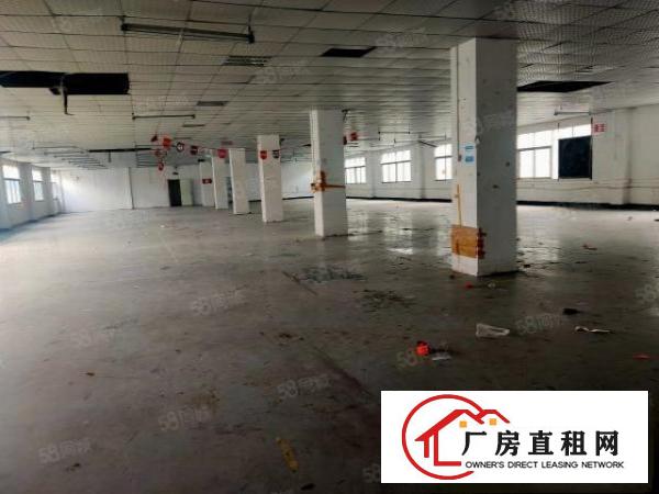  塘厦石鼓标准厂房二楼整层1380平方出租，有装修价格实惠