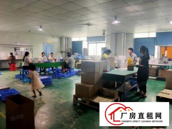  塘厦石鼓标准厂房二楼整层1380平方出租，有装修价格实惠