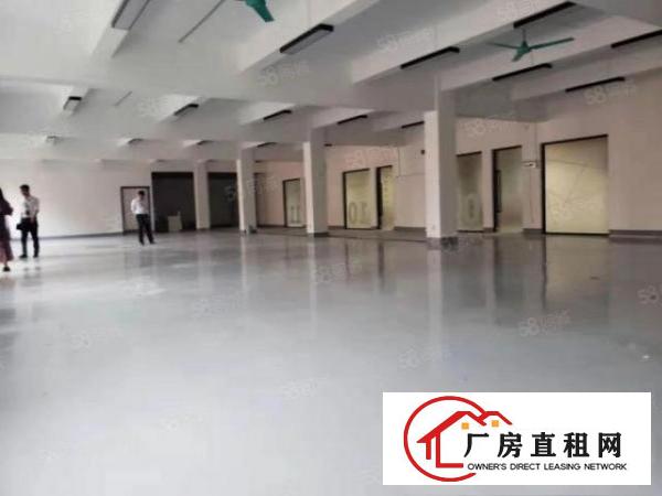  塘厦清湖头独院标准1楼520平方！现成主线!可装峰谷表